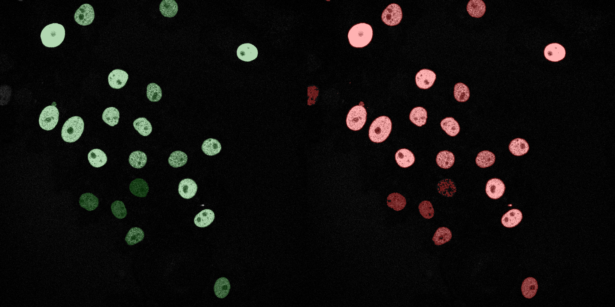 Naive Bayes Track 01