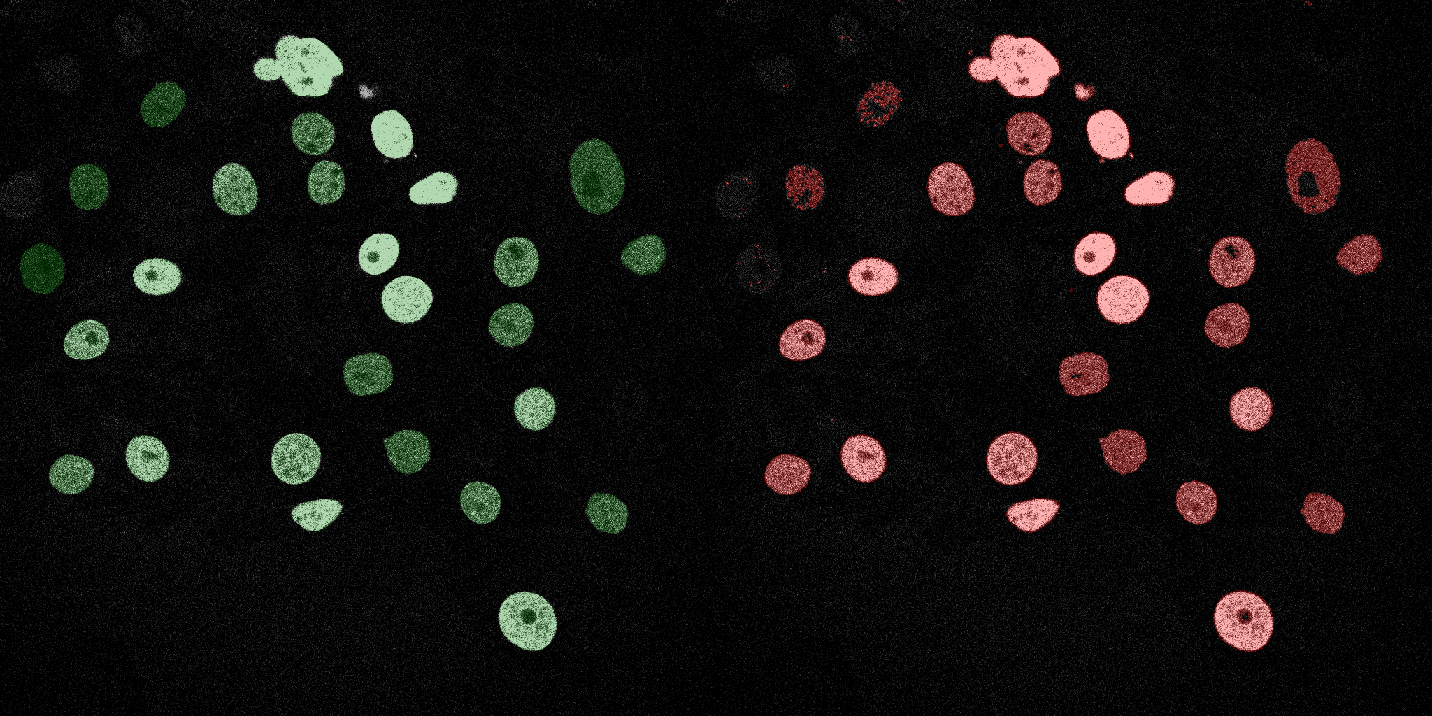 Naive Bayes Track 02