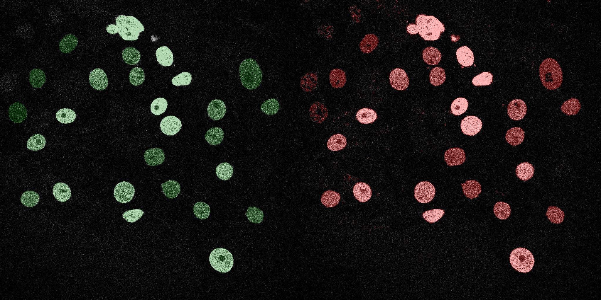 Neural Network Track 02